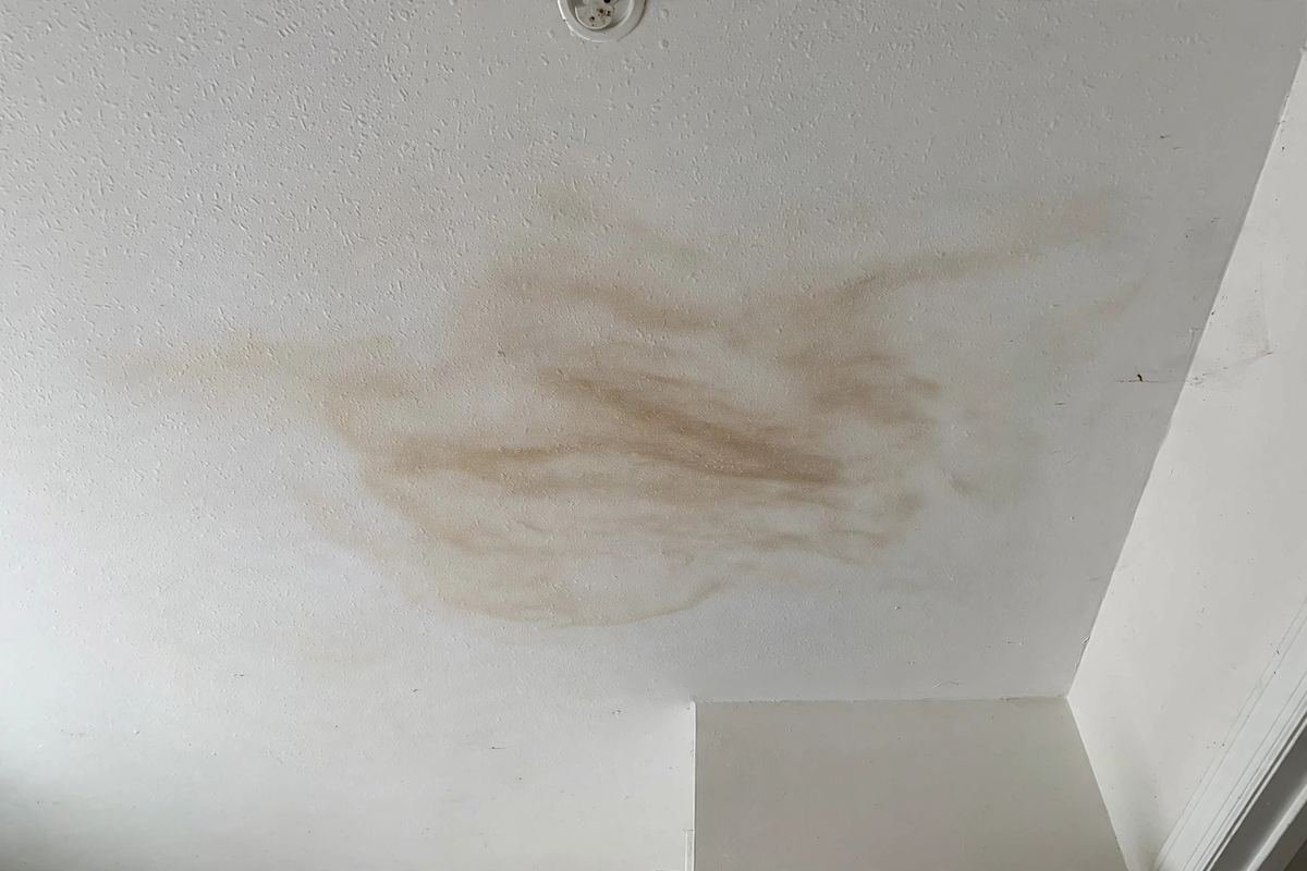 How to Recognize Signs of a Hidden Plumbing Leak